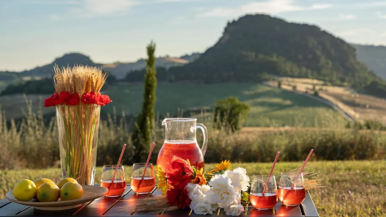 Villa Il Poggiarellone 18 Volterra Italia